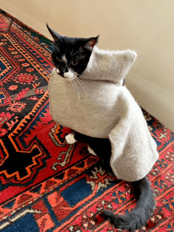Cuadri Poncho (30cm) - Image 2